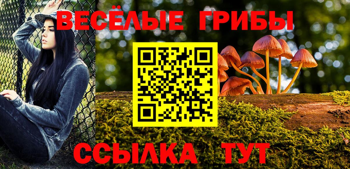 Псилоцибиновые грибы Psilocybine cubensis Прохладный