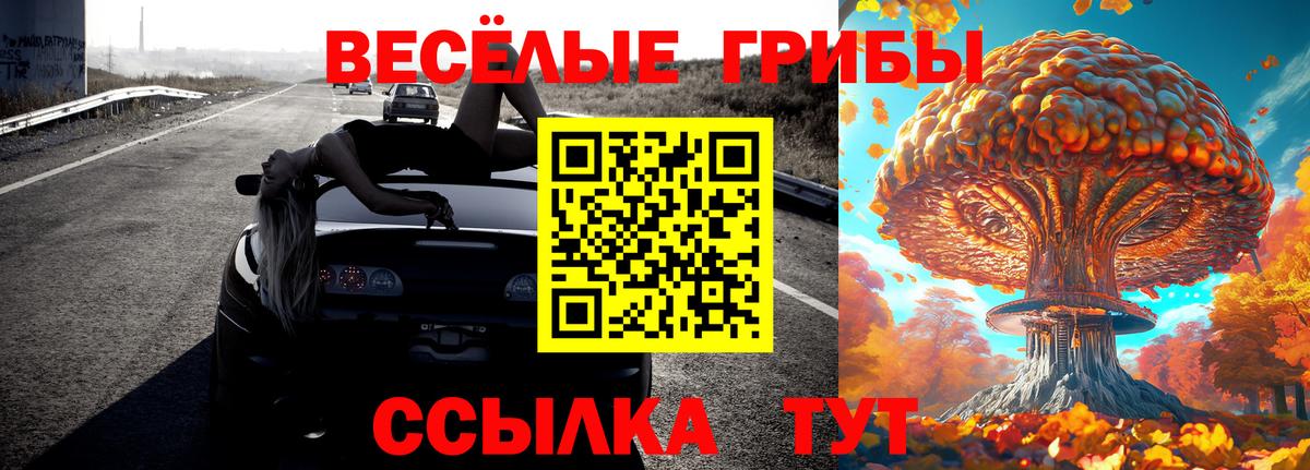 Псилоцибиновые грибы MAGIC MUSHROOMS  Вход с VPN  Псилоцибиновые грибы Psilocybe  Прохладный 